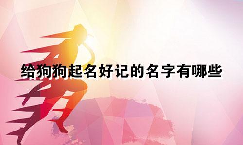 给狗狗起名好记的名字有哪些