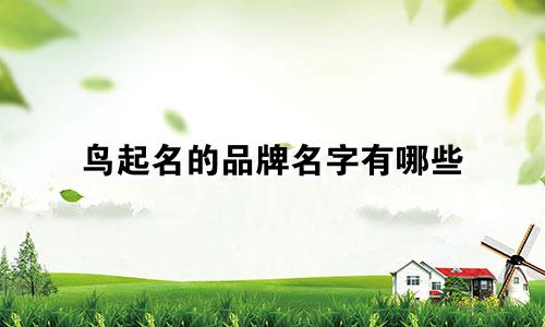 鸟起名的品牌名字有哪些