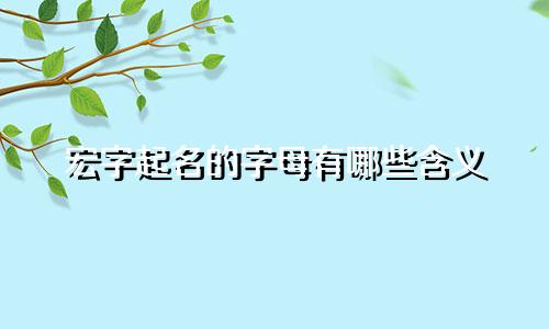 宏字起名的字母有哪些含义