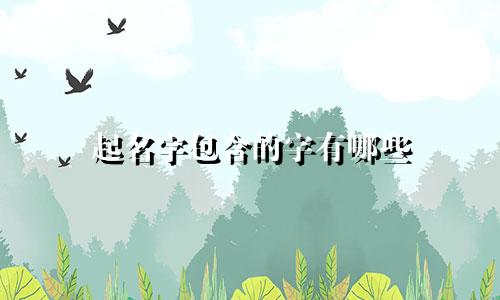 起名字包含的字有哪些