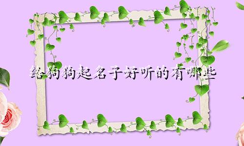 给狗狗起名子好听的有哪些
