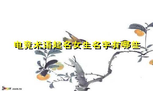 电竞术语起名女生名字有哪些