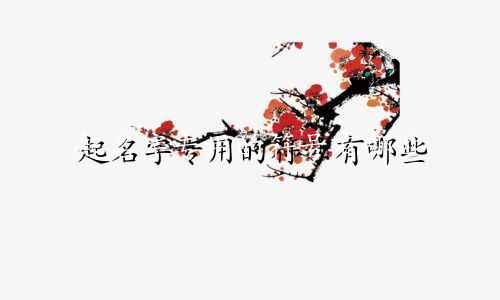 起名字专用的符号有哪些