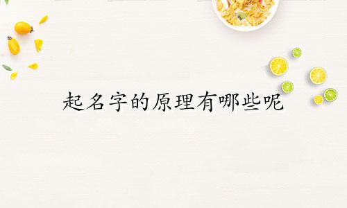 起名字的原理有哪些呢