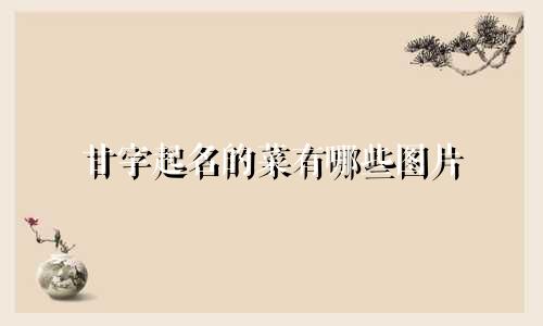 甘字起名的菜有哪些图片