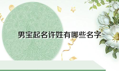 男宝起名许姓有哪些名字
