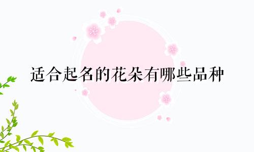 适合起名的花朵有哪些品种