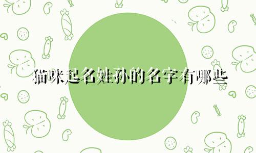 猫咪起名姓孙的名字有哪些