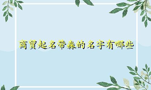 商贸起名带淼的名字有哪些