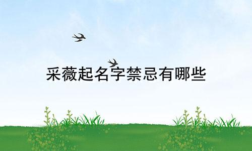 采薇起名字禁忌有哪些