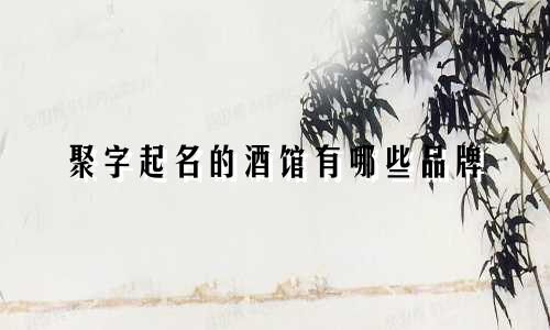 聚字起名的酒馆有哪些品牌