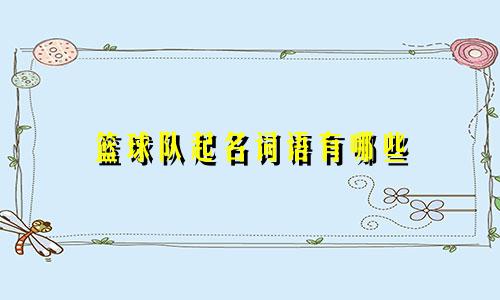篮球队起名词语有哪些
