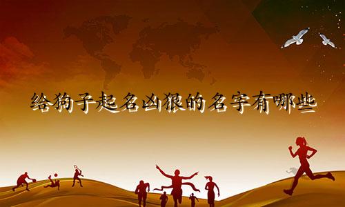 给狗子起名凶狠的名字有哪些