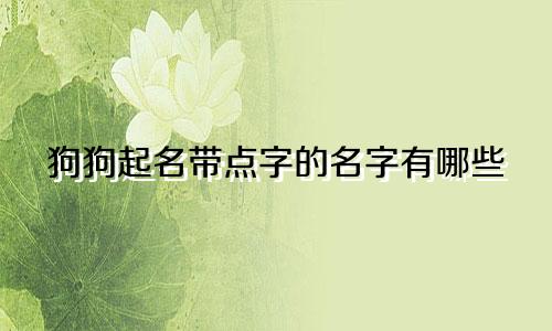 狗狗起名带点字的名字有哪些