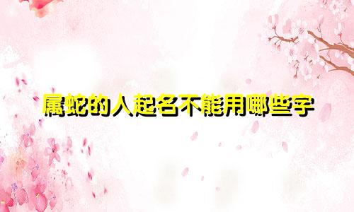 最会起名字的明星有哪些