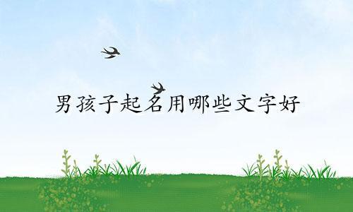 男孩子起名用哪些文字好
