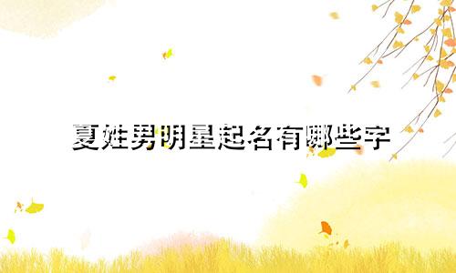 夏姓男明星起名有哪些字