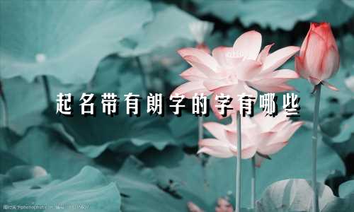 起名带有朗字的字有哪些