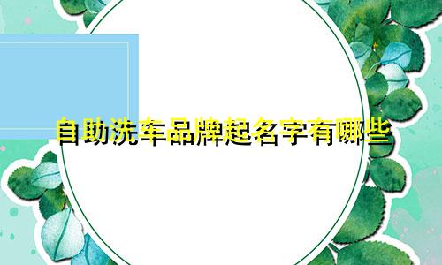 自助洗车品牌起名字有哪些