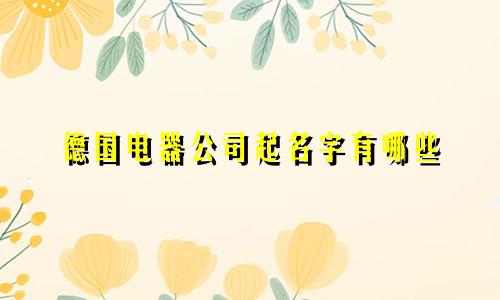 德国电器公司起名字有哪些