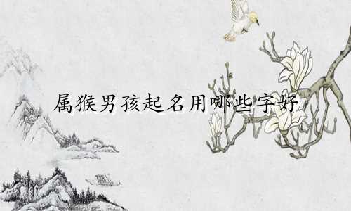 属猴男孩起名用哪些字好