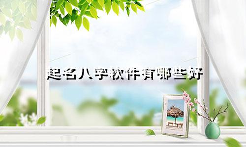 起名八字软件有哪些好