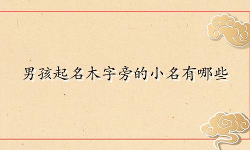 男孩起名木字旁的小名有哪些