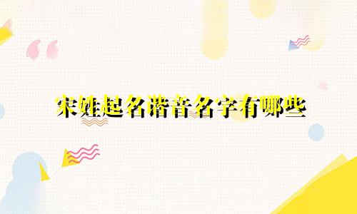宋姓起名谐音名字有哪些