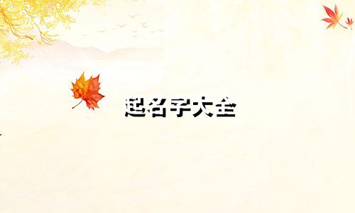 起名字大全 小程序有哪些