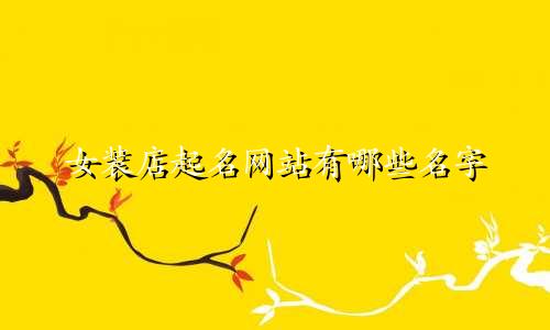 女装店起名网站有哪些名字