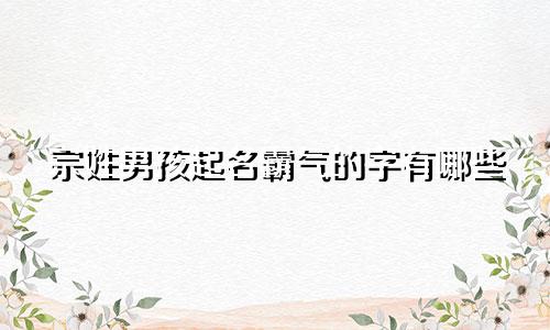 宗姓男孩起名霸气的字有哪些