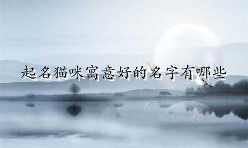 起名猫咪寓意好的名字有哪些