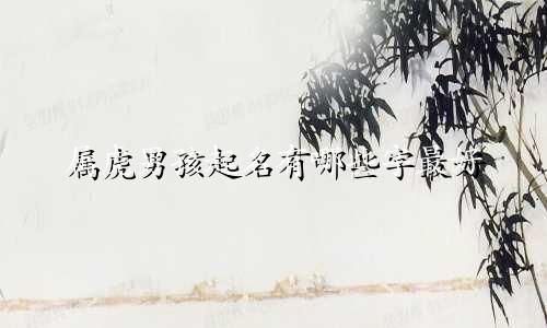 属虎男孩起名有哪些字最好