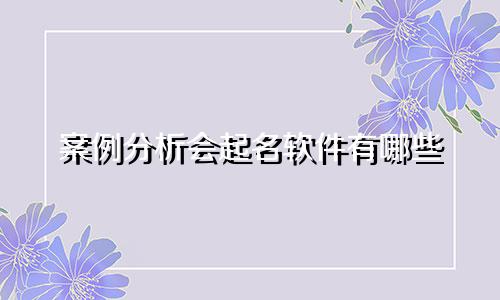 案例分析会起名软件有哪些