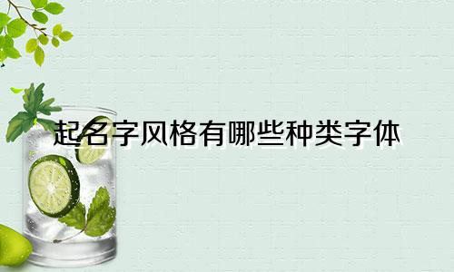起名字风格有哪些种类字体