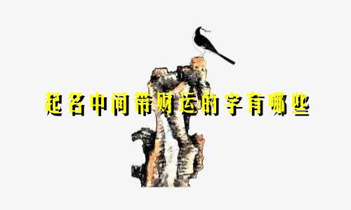 起名中间带财运的字有哪些