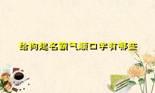 给狗起名霸气顺口字有哪些