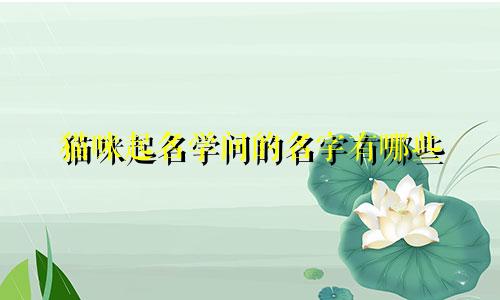 猫咪起名学问的名字有哪些