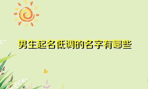 男生起名低调的名字有哪些