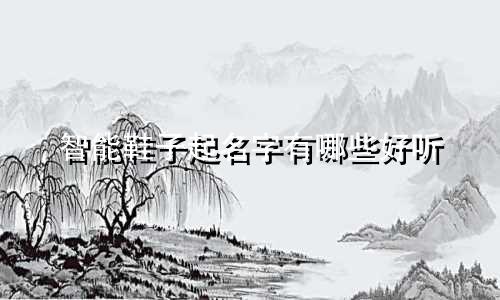智能鞋子起名字有哪些好听
