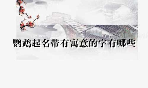 鹦鹉起名带有寓意的字有哪些