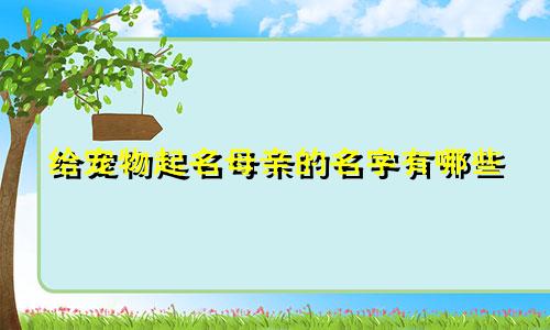 给宠物起名母亲的名字有哪些