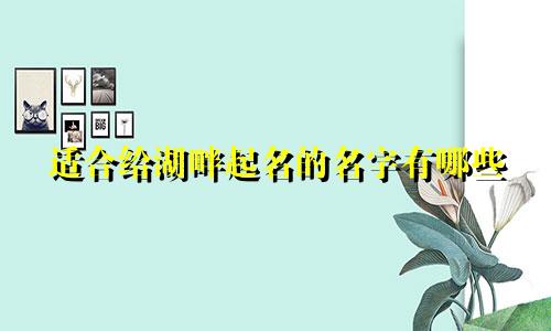 适合给湖畔起名的名字有哪些