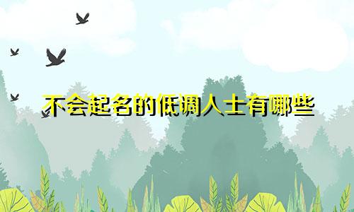 不会起名的低调人士有哪些