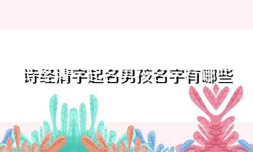 诗经清字起名男孩名字有哪些