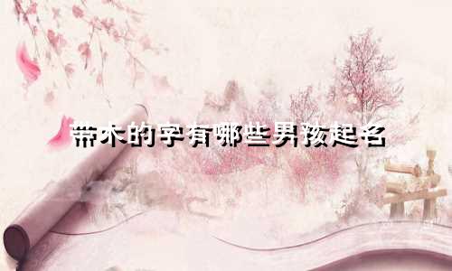 带木的字有哪些男孩起名