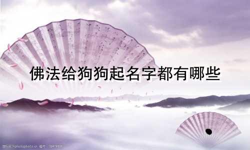 佛法给狗狗起名字都有哪些