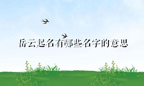 岳云起名有哪些名字的意思