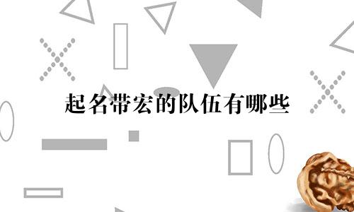 起名带宏的队伍有哪些