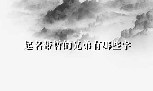 起名带哲的兄弟有哪些字